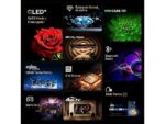 AlfacomprasFKYLSRKTYRSQKYRRER